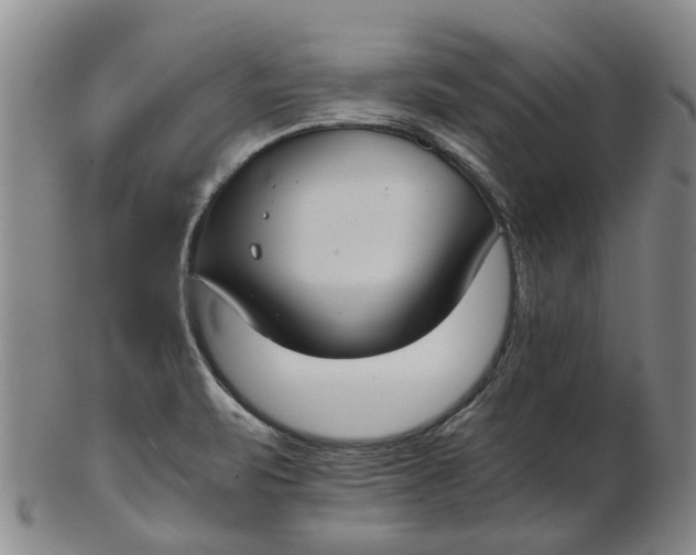 X0000102771471200809080953