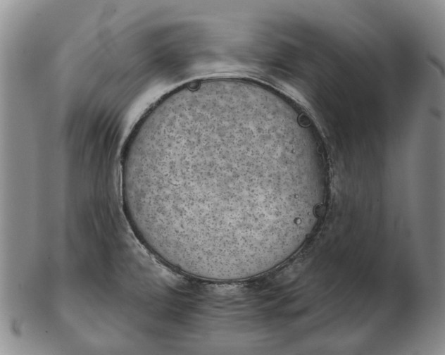 X0000102771472200809080953