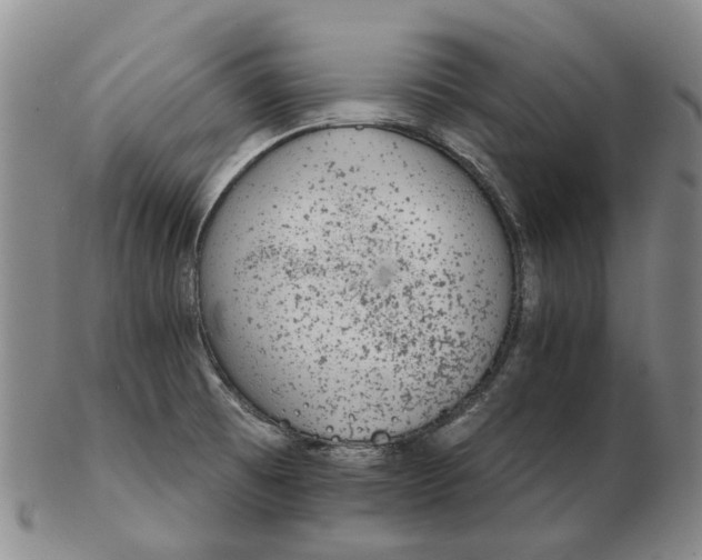 X0000102771473200809080953