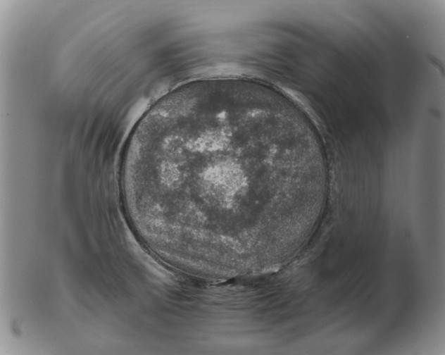 X0000102771475200809080953