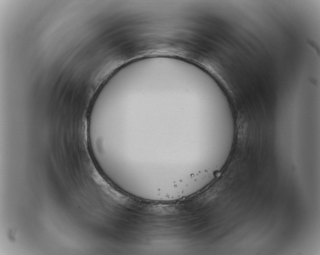 X0000102771476200809080953