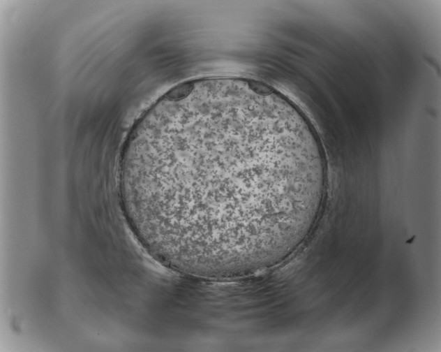 X0000102771477200809080953