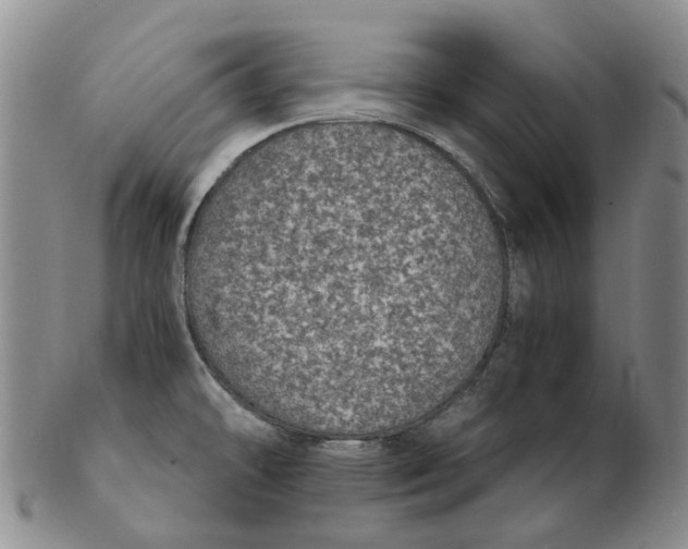 X0000102771478200809080953