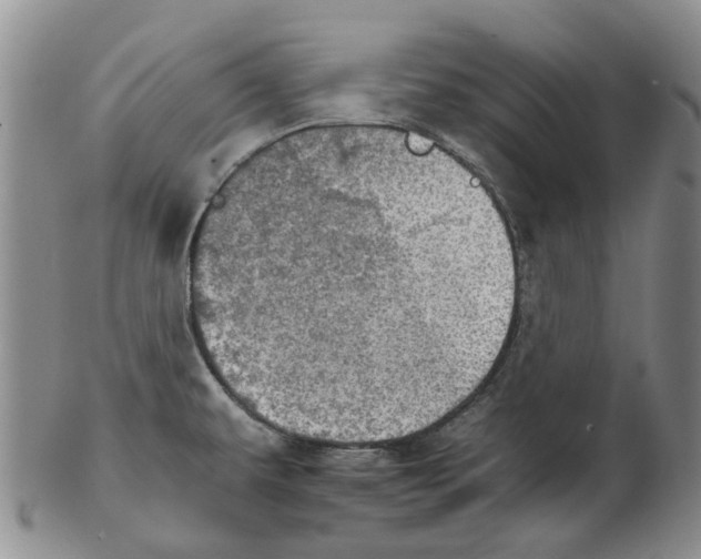 X0000102771479200809080953