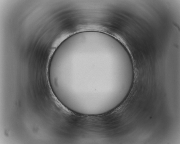 X0000102771480200809080953