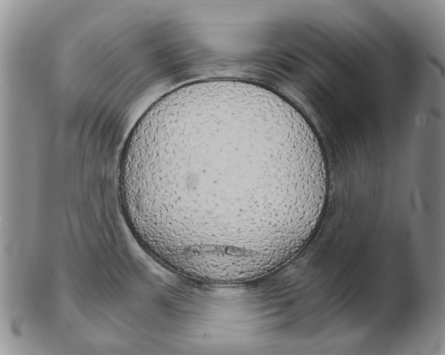 X0000102771483200809080953