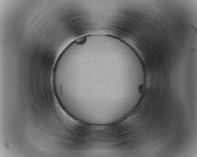 X0000102771484200809080953