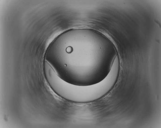 X0000102771485200809080953