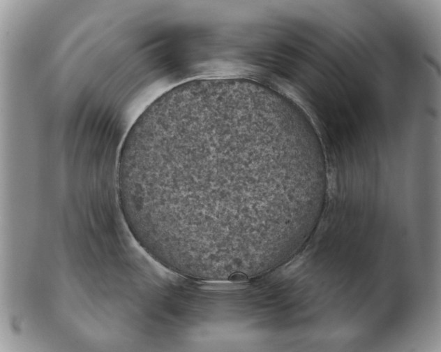 X0000102771487200809080953