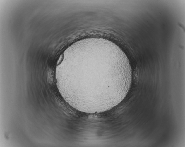 X0000102771490200809080952