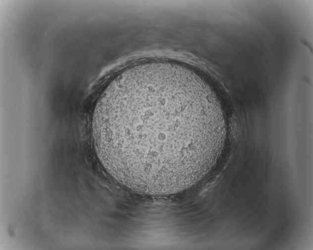 X0000102771494200809080952