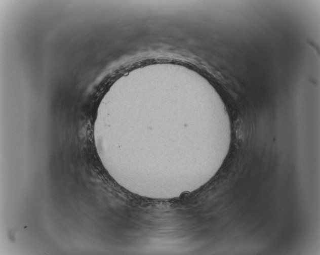 X0000102771495200809080952