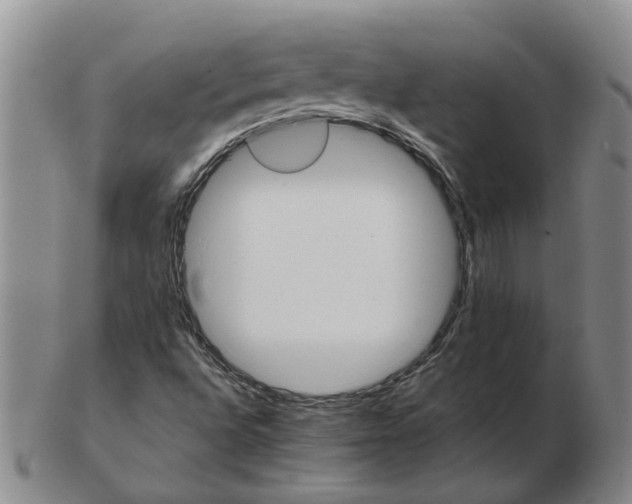 X0000102771496200809080952