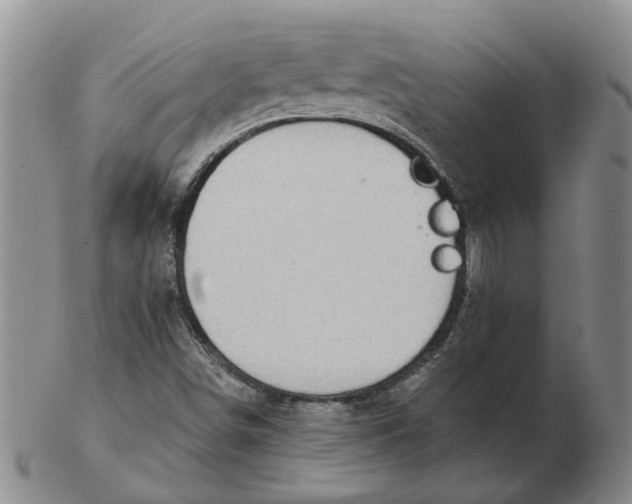 X0000102771498200809080952