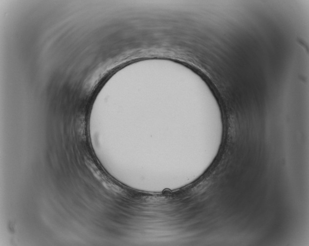 X0000102771499200809080952