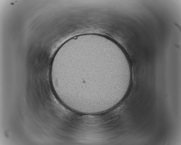 X0000102771500200809080952