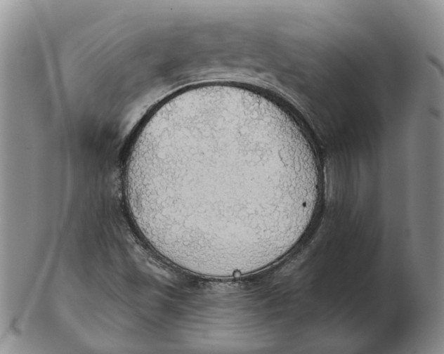 X0000102771501200809080952