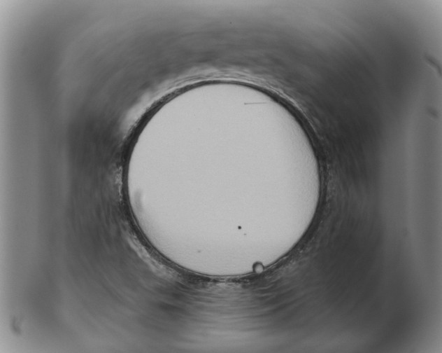 X0000102771503200809080952