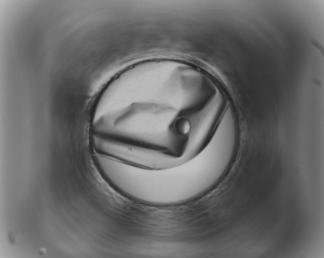 X0000102771504200809080952