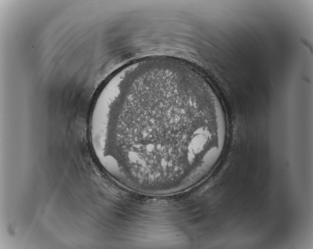 X0000102771505200809080952