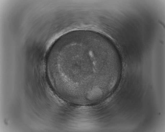 X0000102771506200809080952