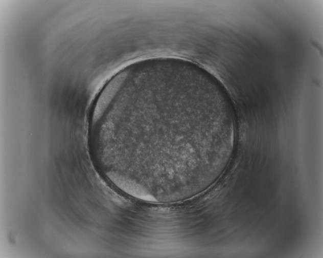 X0000102771508200809080952