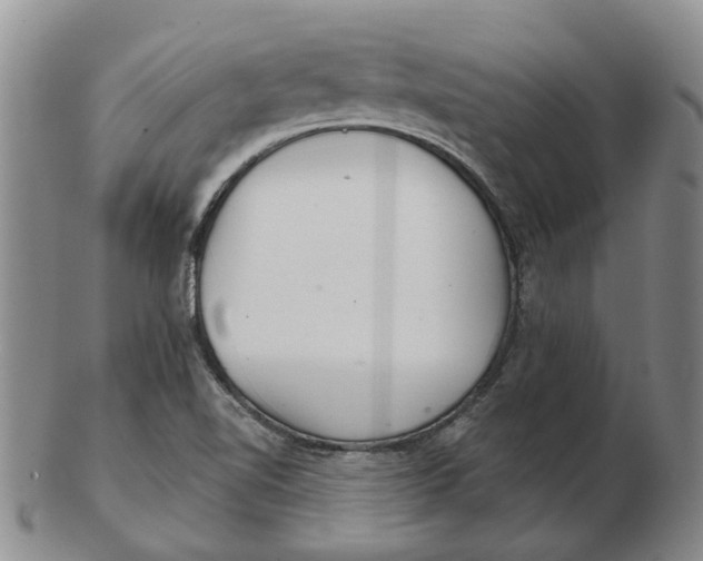 X0000102771510200809080952