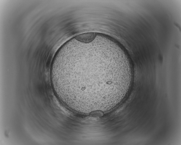 X0000102771513200809080952