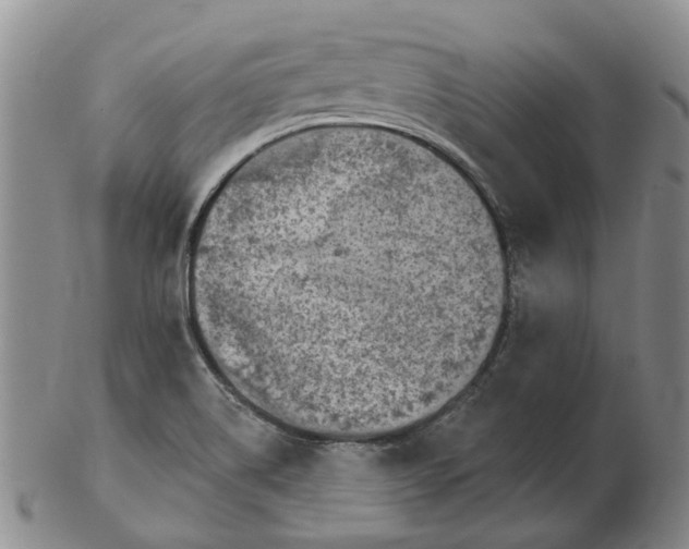 X0000102771514200809080952