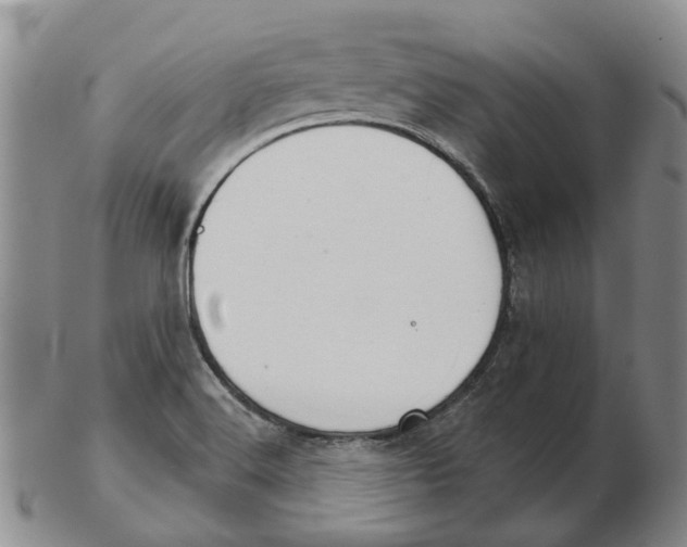 X0000102771516200809080952