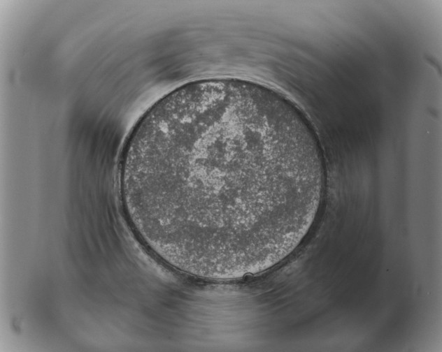 X0000102771517200809080953