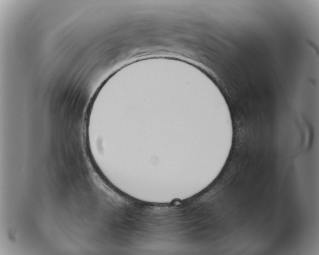 X0000102771518200809080953