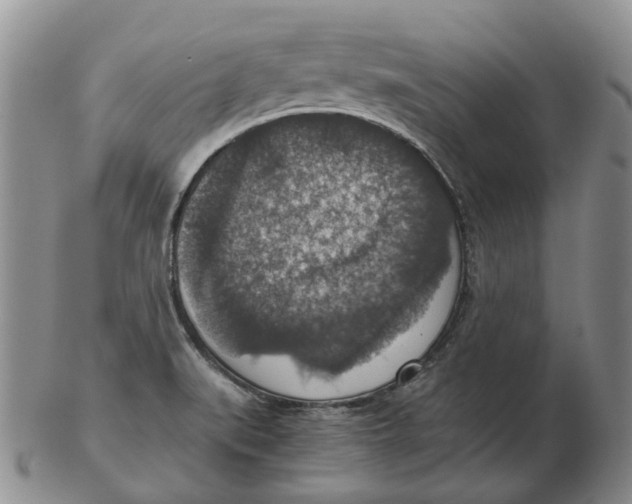 X0000102771519200809080953