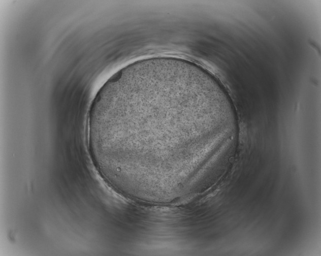 X0000102771520200809080953