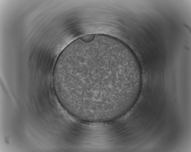 X0000102771521200809080953