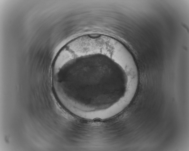 X0000102771522200809080953