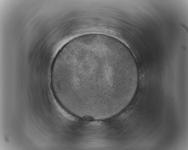 X0000102771523200809080953