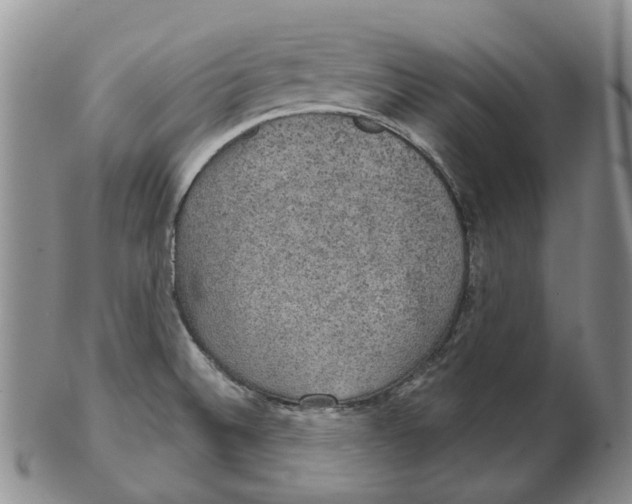 X0000102771524200809080953