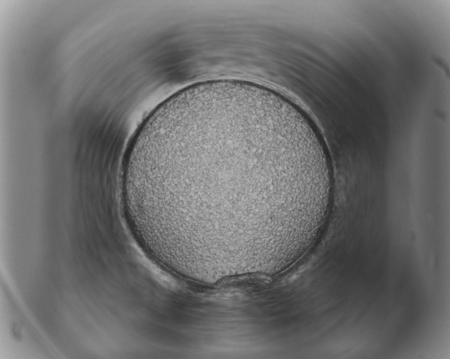 X0000102771525200809080953