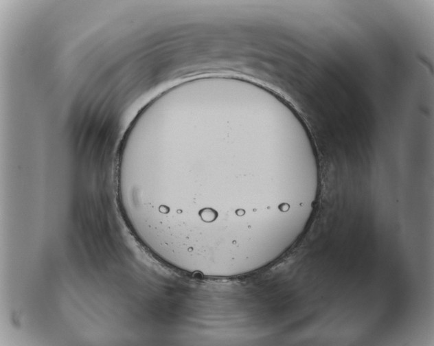 X0000102771526200809080953