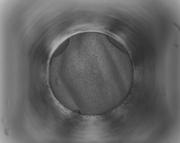 X0000102771528200809080953