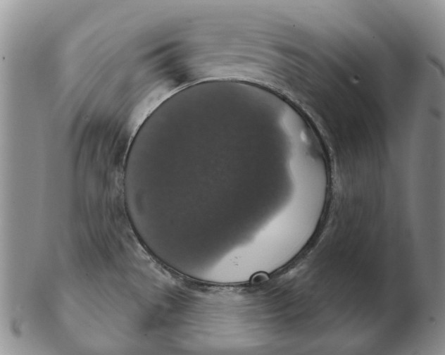 X0000102771529200809080953