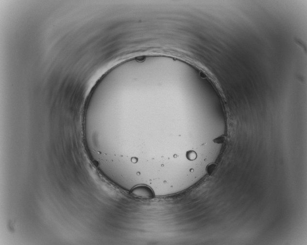 X0000102771530200809080953