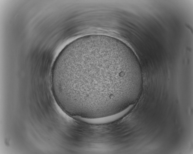 X0000102771531200809080953