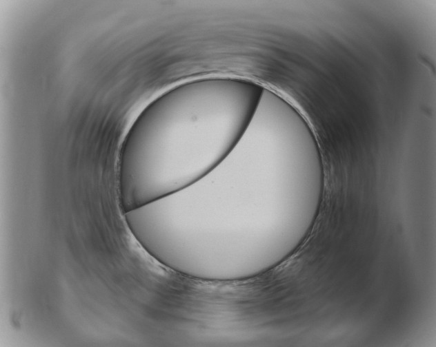 X0000102771532200809080953