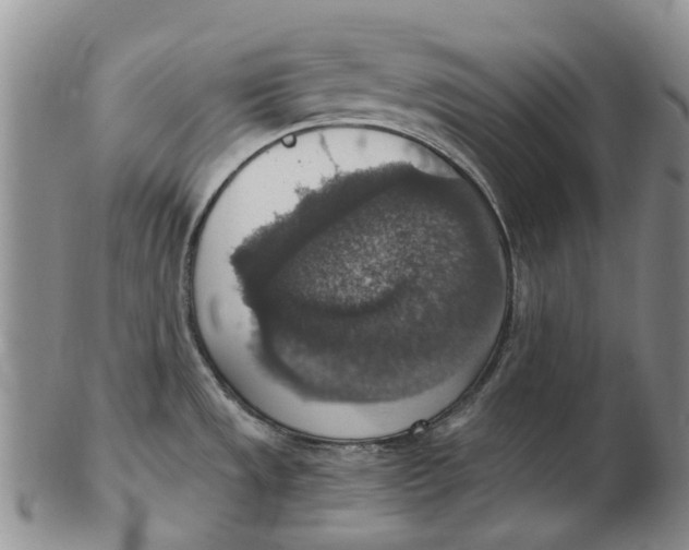 X0000102771533200809080953