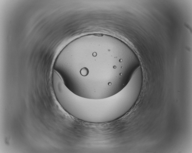 X0000102771536200809080953