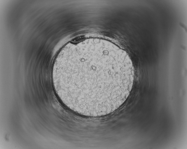 X0000102770004200809151051