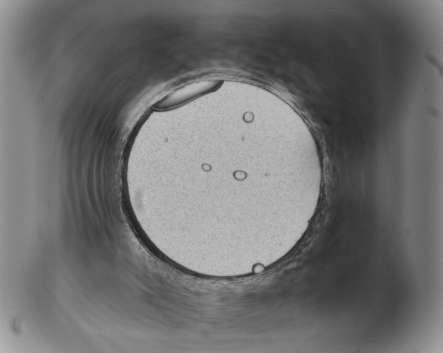 X0000102770007200809151051