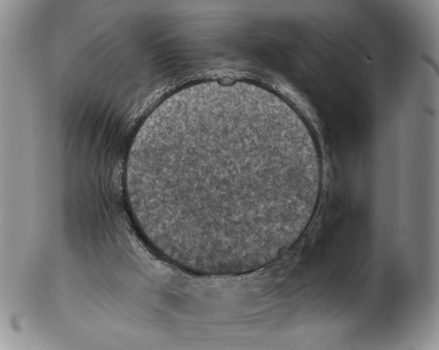 X0000102770009200809151051